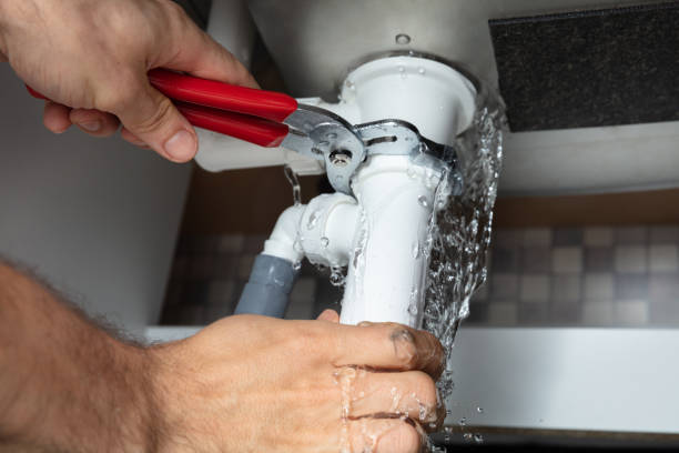 Best Professional water damage repair  in Kingstree, SC