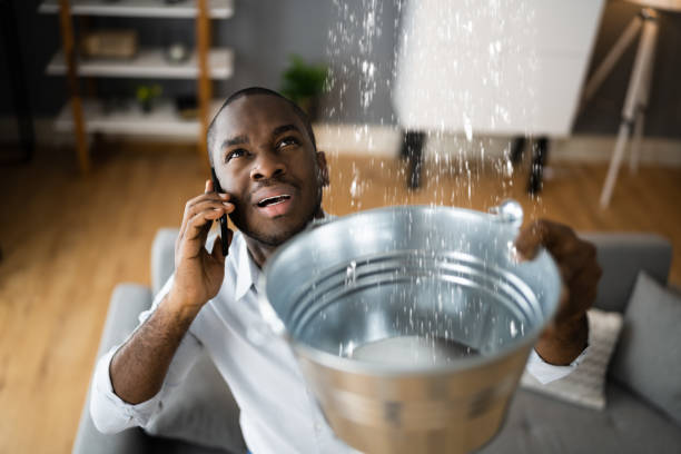 Best Flood restoration services  in Kingstree, SC