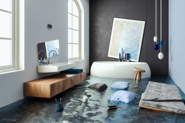 Best Mold removal after water damage  in Kingstree, SC