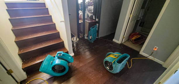Best 24-hour water damage restoration  in Kingstree, SC