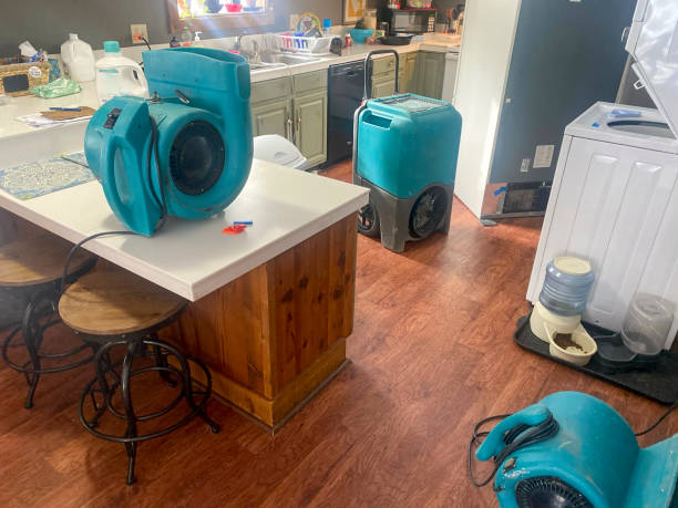 Best Water damage restoration near me  in Kingstree, SC