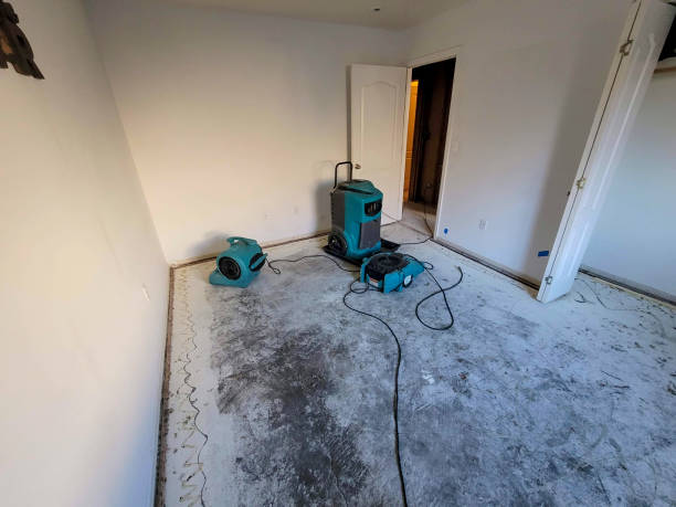 Best Professional water damage repair  in Kingstree, SC
