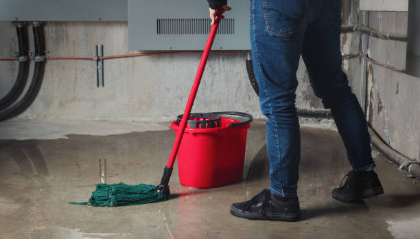 Best Local water damage restoration  in Kingstree, SC