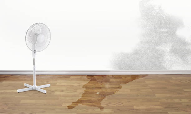 Best Carpet water damage restoration  in Kingstree, SC