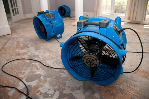 Best Sewage cleanup and water damage restoration  in Kingstree, SC