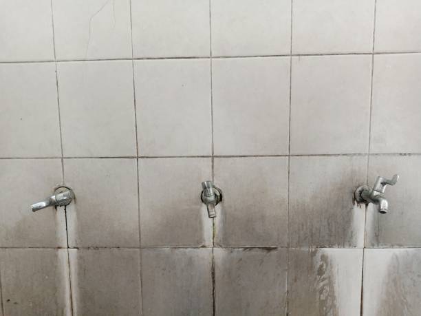 Best Water damage restoration mold remediation  in Kingstree, SC
