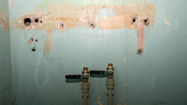 Trusted SC Water damage restoration Experts