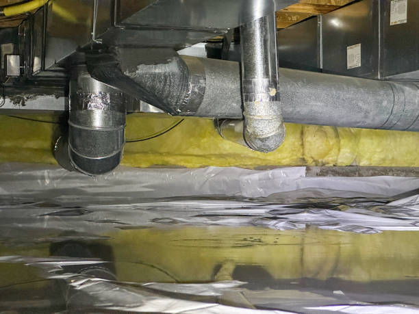 Best Fire Damage Restoration  in Kingstree, SC