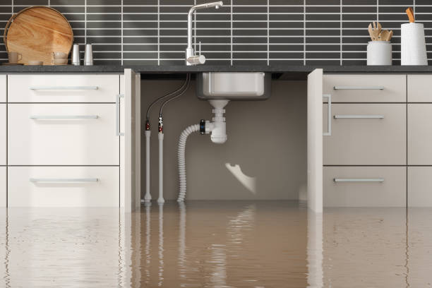 Best Basement water damage restoration  in Kingstree, SC