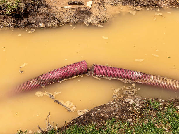 Best Water damage restoration services  in Kingstree, SC