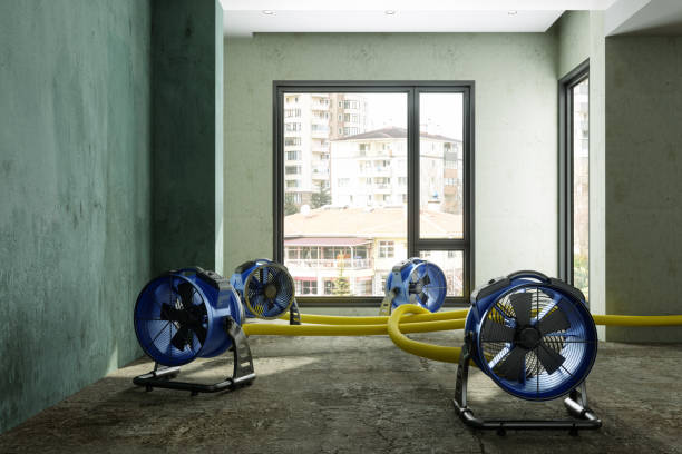 Best Water damage restoration specialists  in Kingstree, SC